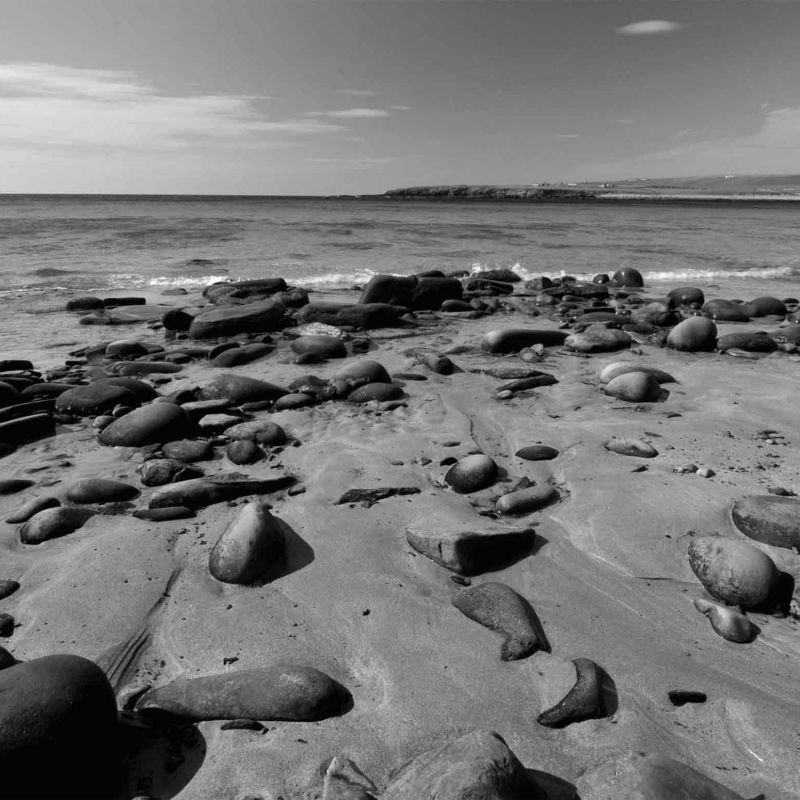 Land Sea Sky 2