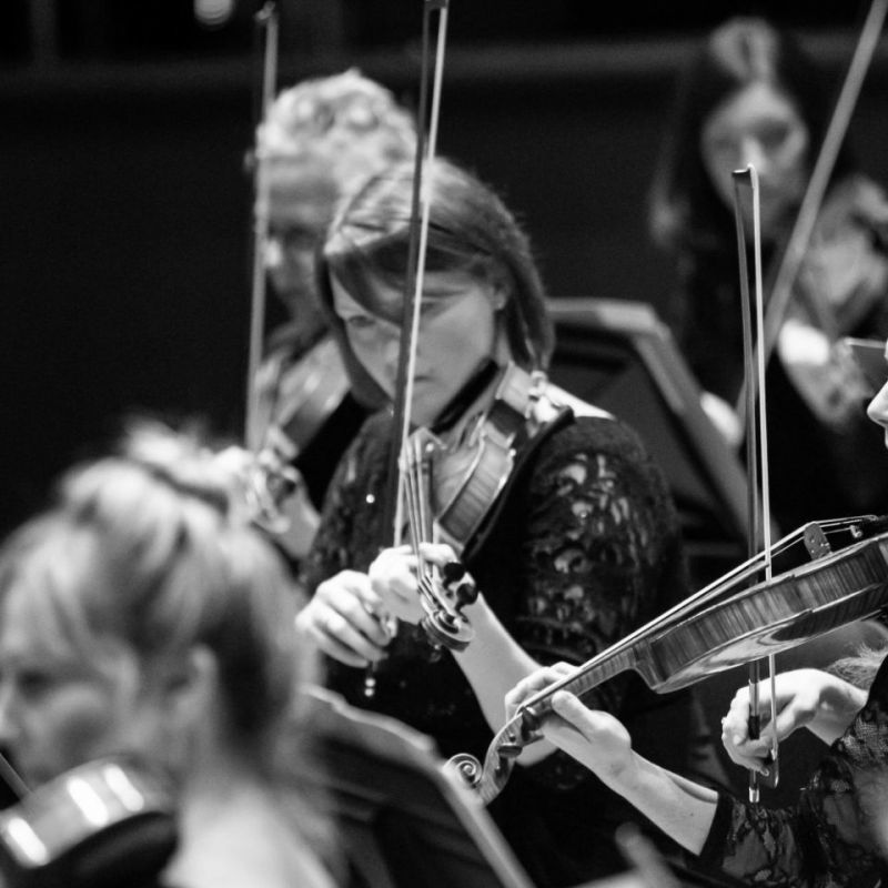 RSNO STRINGS : THE LOVER, DARKNESS AND TRANSFIGURED NIGHT